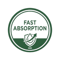 Fast Absorption