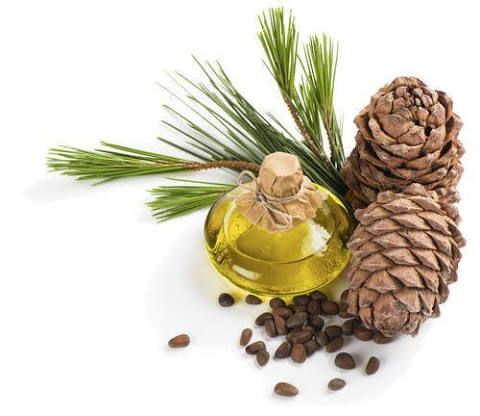 Cedarwood Hair oil for hair - herbal ingredient in Meezab Shahi 13 herbs oil