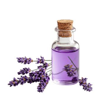 Lavender oil for hair - premium ingredient in Meezab Shahi hair oil Pakistan