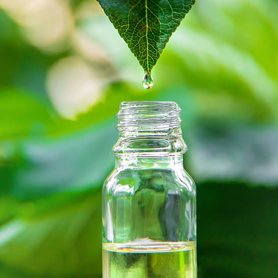Tea Tree oil for hair growth - natural ingredient in best hair oil Pakistan