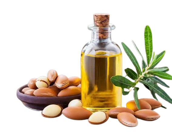 Argan oil for hair - premium ingredient in Meezab Shahi hair oil Pakistan